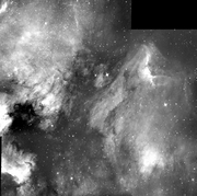 IC 5070 & NGC 7000 .jpg